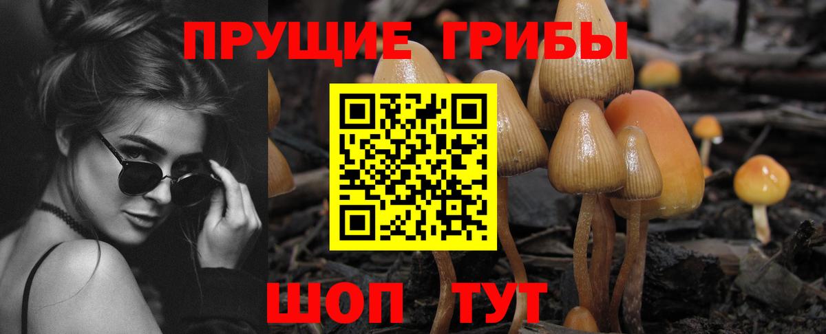 Псилоцибиновые грибы мицелий Серов