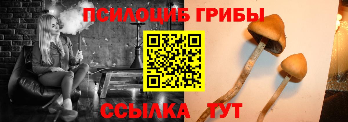 Серов  Галлюциногенные грибы ЛСД  Вход с VPN  Псилоцибиновые грибы прущие грибы 